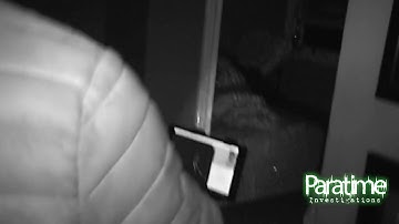 Two Ghosts Caught on SLS Camera - Ghost Hunting - Paratime Investigations