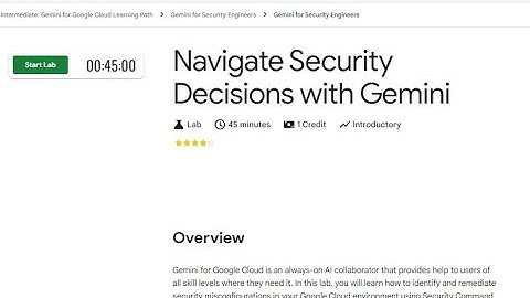 Navigate Security Decisions with Gemini
