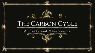 The Carbon cycle