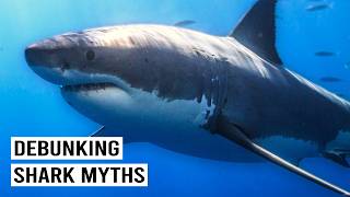 The Legendary Creatures of the Sea: Myths vs. Reality