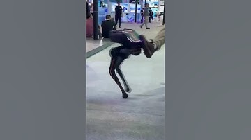 Two-foot robot stays upright even when it