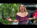 She Fought Police Over a Friend Fight — Then Begged Not to Go to Jail | Bodycam