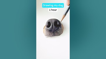 How to draw a dog *MEGA REALISTIC* #dog #sketch #drawing #art #funnypets