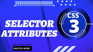Attribute selector in CSS 3  in Urdu/Hindi |Web Coding With Bilal