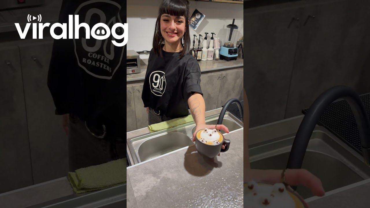 Woman Becomes Sad When Customer Prefers Coffee With No Latte Art || ViralHog