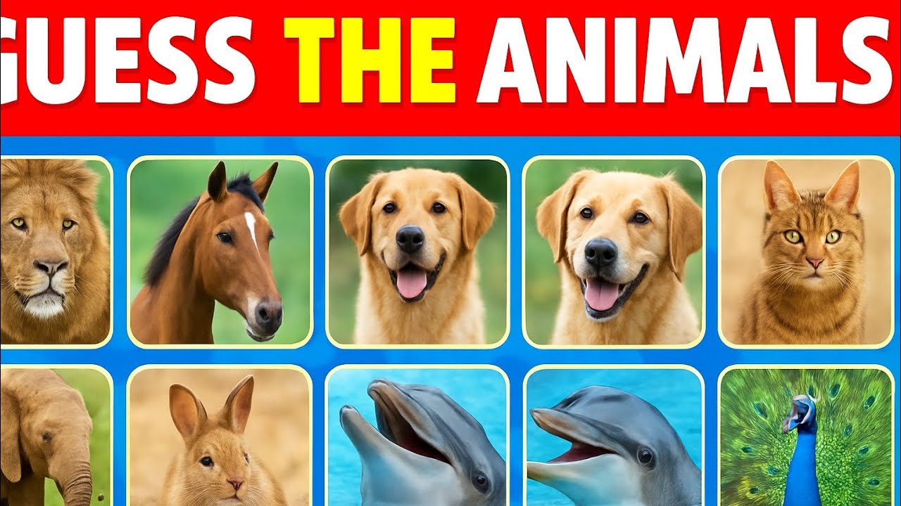 Guess the animal by photo 