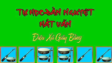 TỰ HỌC ĐÀN NGUYỆT CƠ BẢN - ĐIỆU XÁ BẰNG (HÁT VĂN)|DỄ HIỂU NHẤT
