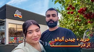 Download Lagu رفتیم ماسک صورت خریدیم + چیدن آلبالو و گیلاس از درخت 🍒🧖♀️ MP3 Download Lagu رفتیم ماسک صورت خریدیم + چیدن آلبالو و گیلاس از درخت 🍒🧖♀️ MP3
