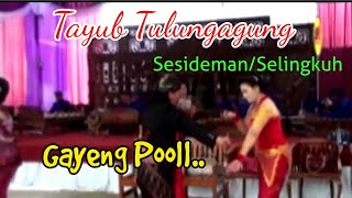 Tayub Tulungagung Sesideman Gayeng Poll...