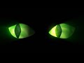 Party backgrounds  halloween  spooky eyes mischief