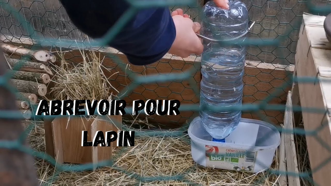 Abreuvoir lapins