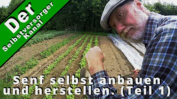 Kann man Senf selbst anbauen?