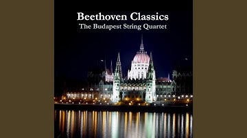 String Quartet No. 8 in E Minor, Op. 59, No. 2 Allegretto