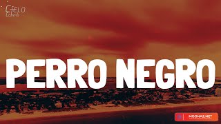 Bad Bunny - PERRO NEGRO (Lyrics/Letra)