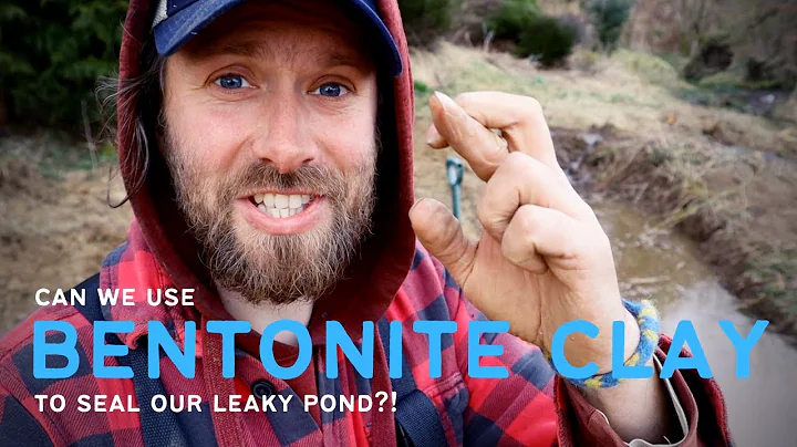 Fixing Leaky Canal Ponds with Bentonite Clay | Get a Waterproof Solution!