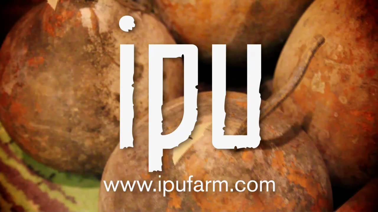 Ipu Heke - Ipu Farm