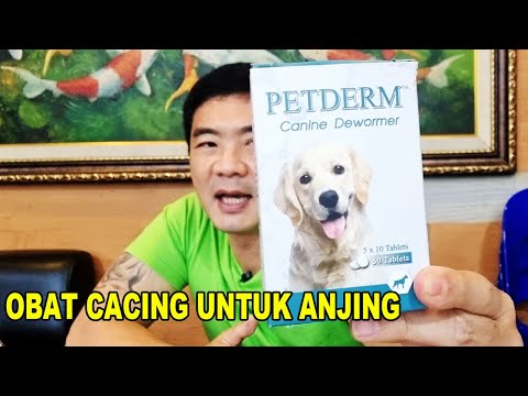 Video: Tanya A Vet: Bisakah Anjing Saya Beri Saya Cacing?