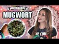 10 Spiritual Ways To Use MUGWORT ♥ The Herb of Magic, Connection to Divine, Manifestation  & More!