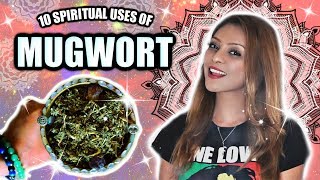 10 Spiritual Ways To Use MUGWORT  The Herb of Magic, Connection to Divine, Manifestation  & More!