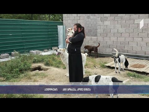 ბერი სებასტიანეს მოწყობილი თავშესაფარი მიუსაფარი ცხოველებისთვის