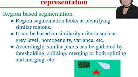 Image Segmentation and Shape Descriptor