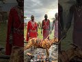 Maasai Goat Feast: Maasai Goat Feast Over Fire #triballife #tribalfeast #primitivecooking