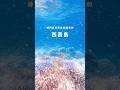 𖧧世界自然遺產｜西表島🏝️從石垣島出發只要一小時🔥即可抵達有著「日本最後秘境」之稱的西表島！戶外人一定會愛上😍 #石垣島 #西表島 #沖繩旅遊