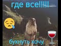 Где Все! Бухать Хочу!