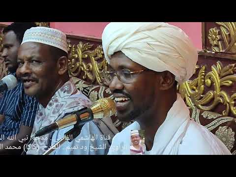 نبي الله المجتبى كاكا محمد الأمين الكباشي