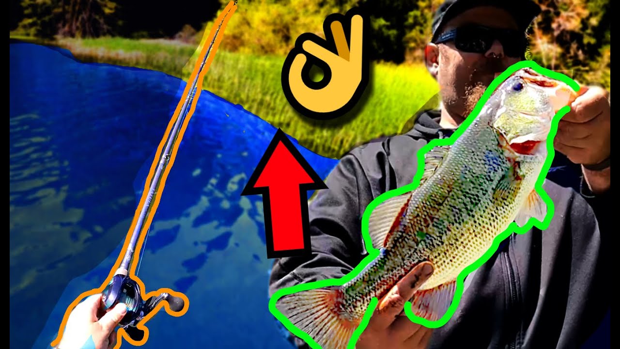 STOP Power Fishing if it’s NOT WORKING! (Early Spring Bass Fishing)