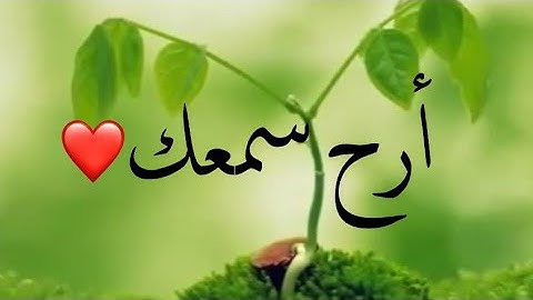 أرح سمعك -قرآن كريم بصوت أحمد العجمي /حالات واتساب دينية /مقاطع دينية قصيرة /مقاطع إنستقرام دينية
