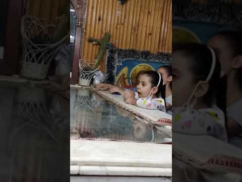 تمجيد القديس ابونا تيموثاوس السريانى بركة صلواته تكون معنا امين 