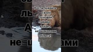 Дети - это аманат Всевышнего.