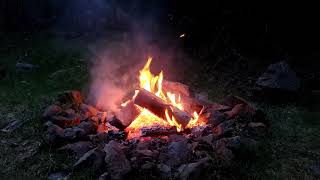 Pacific Northwest Campfire: Tillamook Forest Sunset Ambiance ~2hr~