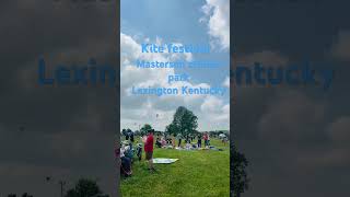 Kite festival in Masterson station park Lexington Kentucky