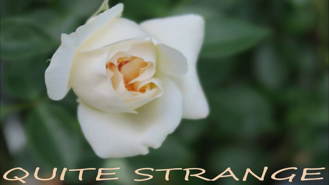 Quite Strange Elaine M - Quite Strange - YouTube