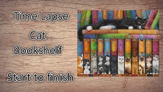 start to finish time lapse Cat bookshelf diamond painting from Diamond Art Club by Randal Spangler