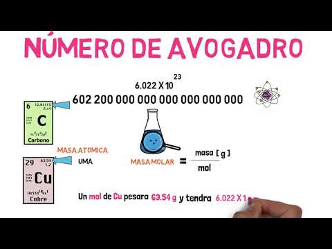¿Qué es un