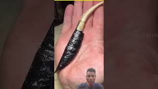 #facts #experiment #animals #science #amazingfacts #viralshortvideo #viralshort #youtubeshorts