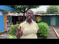 Ocho Rios craft trader rebuffs PM's fee waiver