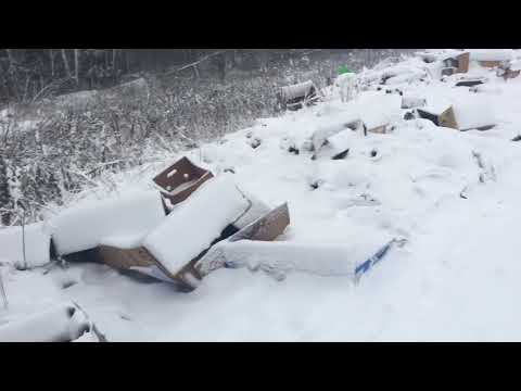 Очищаем природу, зарабатываем на Макулатуре