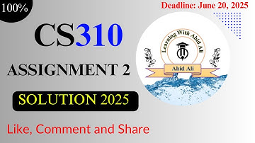 CS310 Assignment 2 Solution 2025