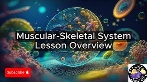 Muscular - Skeletal System - Lesson Overview Key Concepts Discussion Study Tool - Audio