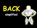 Bodybuilding simplified back