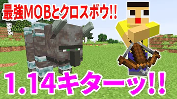 マイクラ イリジャービースト