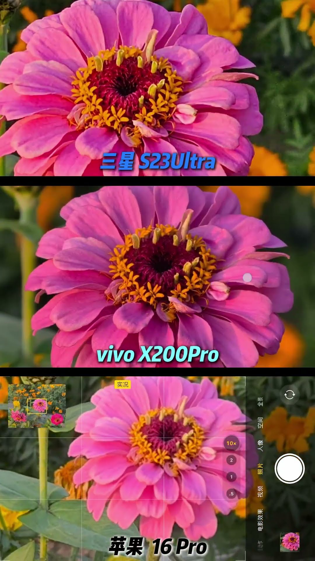 The fruit is as good as ever, Samsung and vivo are stable #Samsung #digitaltechnology #mobilephone