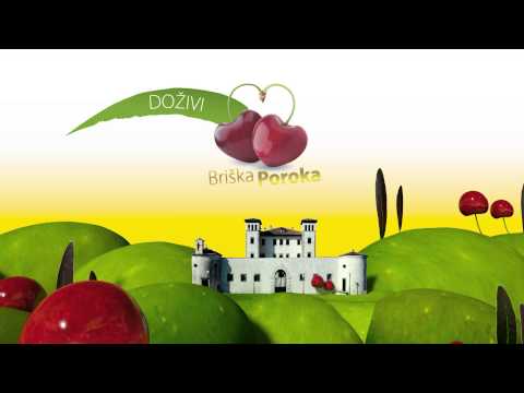 Spot BriškaPoroka 2015