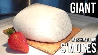 GIANT MARSHMALLOW S'MORES in a Microwave  - Father's Day Special - DIY, homemade - Inspire To Cook by Inspire To Cook 129,471 views 8 years ago 2 minutes, 15 seconds