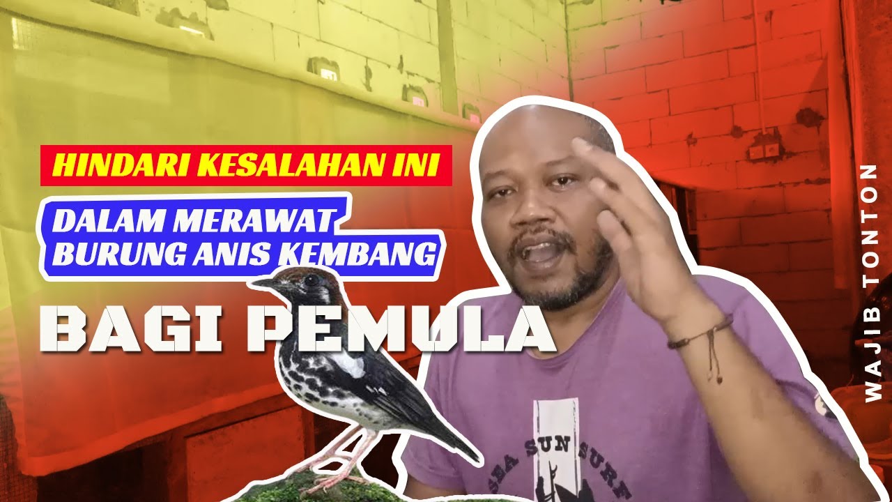 PENYEBAB ANIS KEMBANG MACET DAN TIDAK GACOR~razid alfan