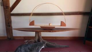 Pendulum Experiment One - Small Kinetic Sculpture